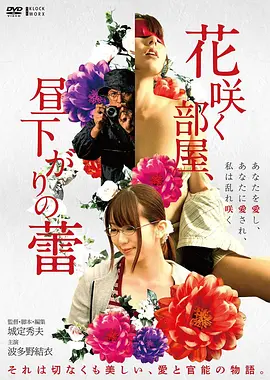 日韩电影在线 新·奥特曼